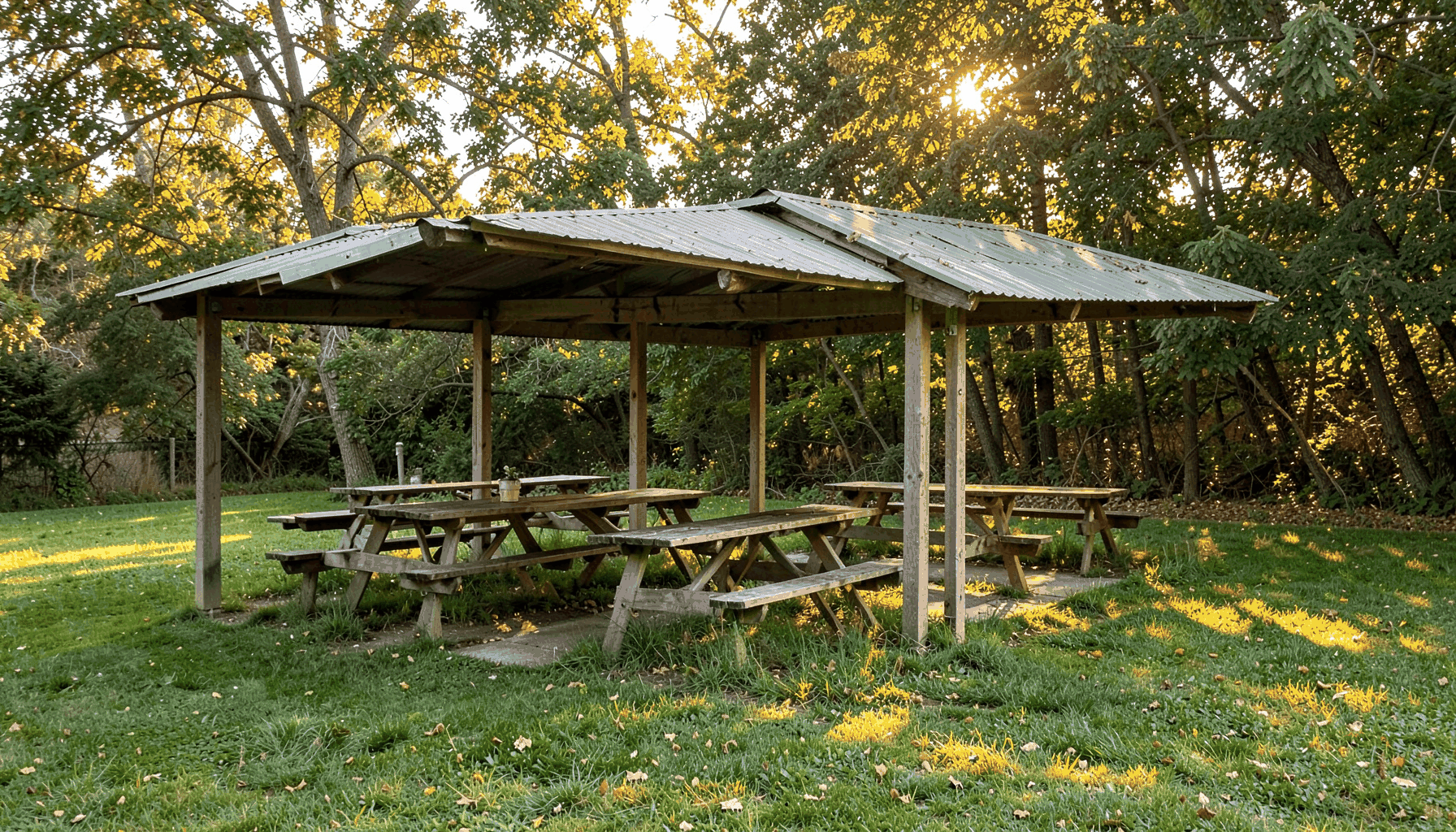 Covered outdoor picnic shelter with wooden tables set on a grassy area, warm afternoon light filtering through trees