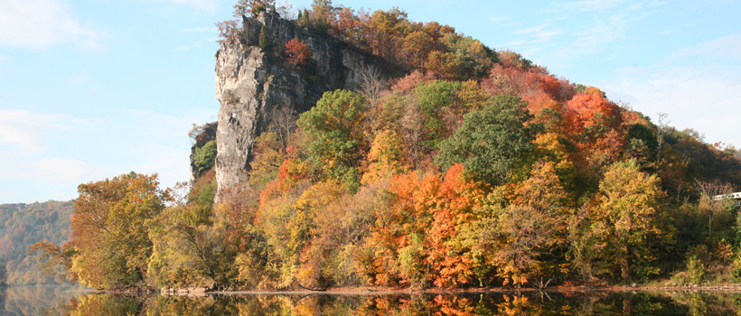 Rocky cliff covered in autumn foliage reflected in calm water below, orange and green tones, dramatic natural mood